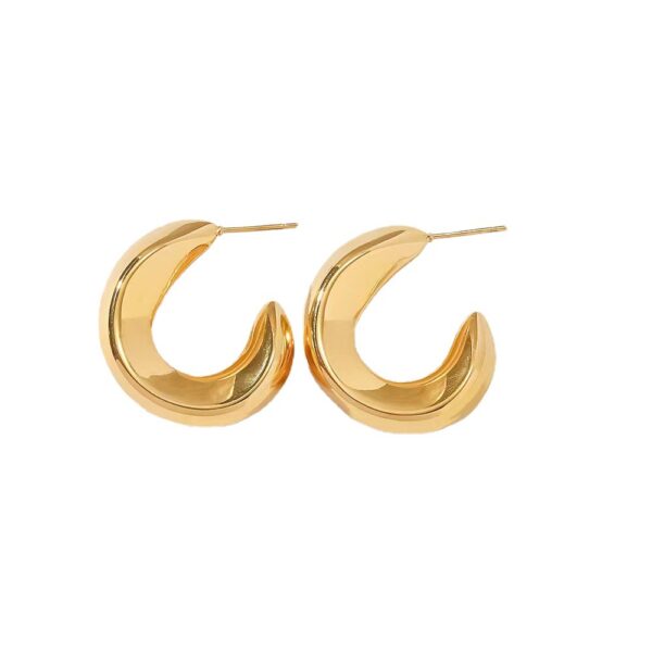 Twisted Earring - Image 5