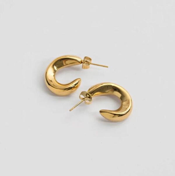 Twisted Earring